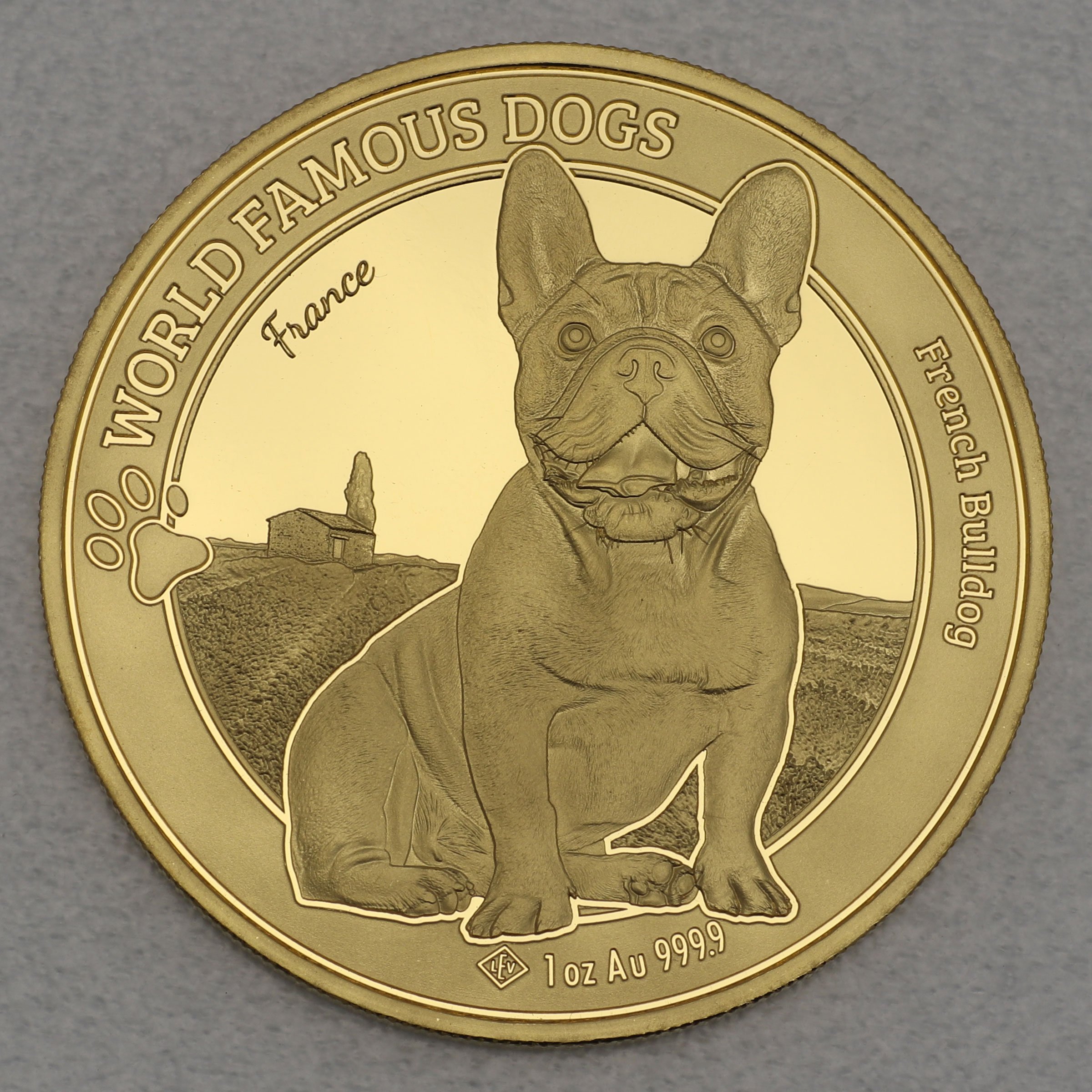 Goldmünze 1oz "Französische Bulldogge" 2022 World Famous Dogs (Kamerun) - Hauptansicht