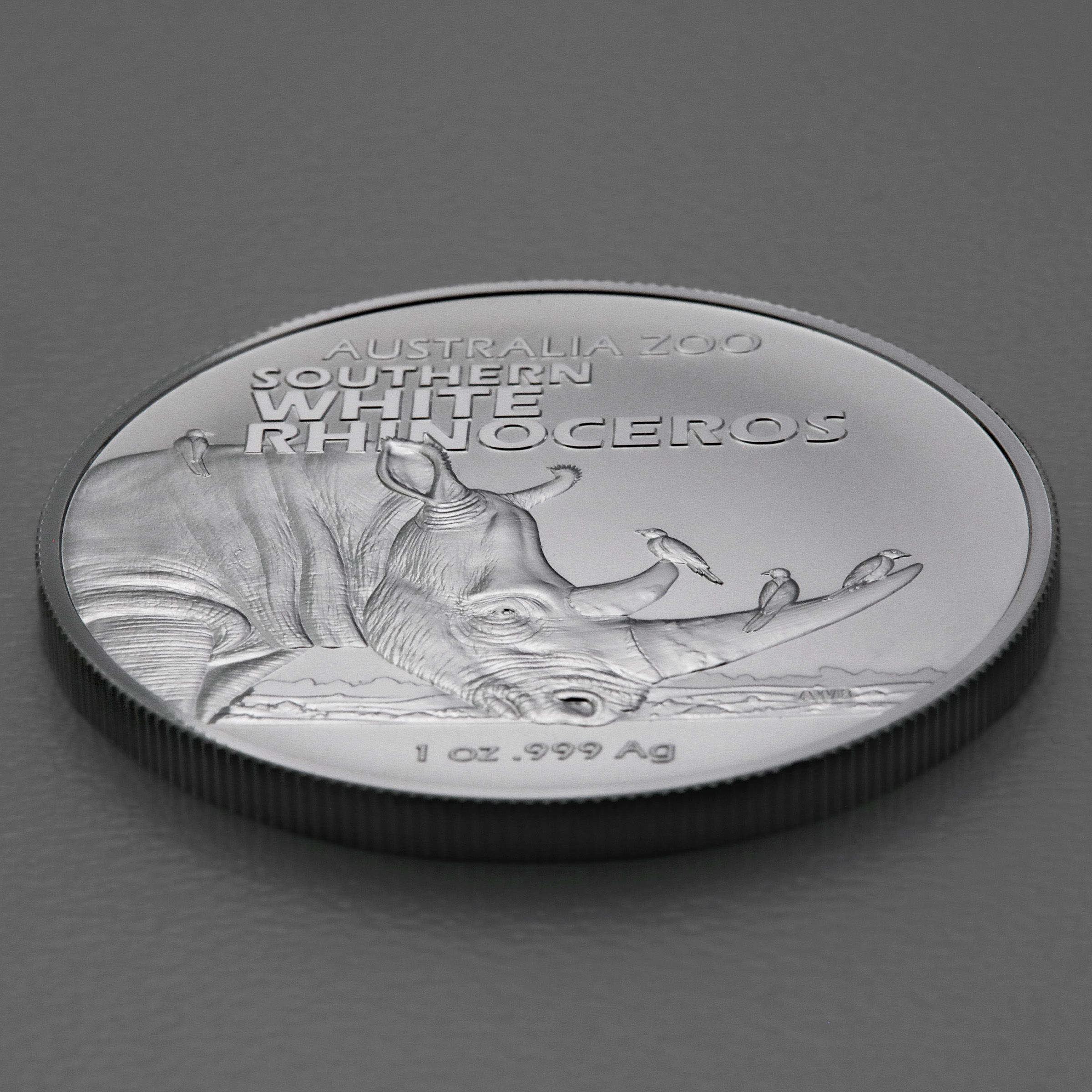 Silbermünze 1oz "Südliches Breitmaulnashorn" 2023 Australia Zoo 19% (Australien) - Detailansicht 2