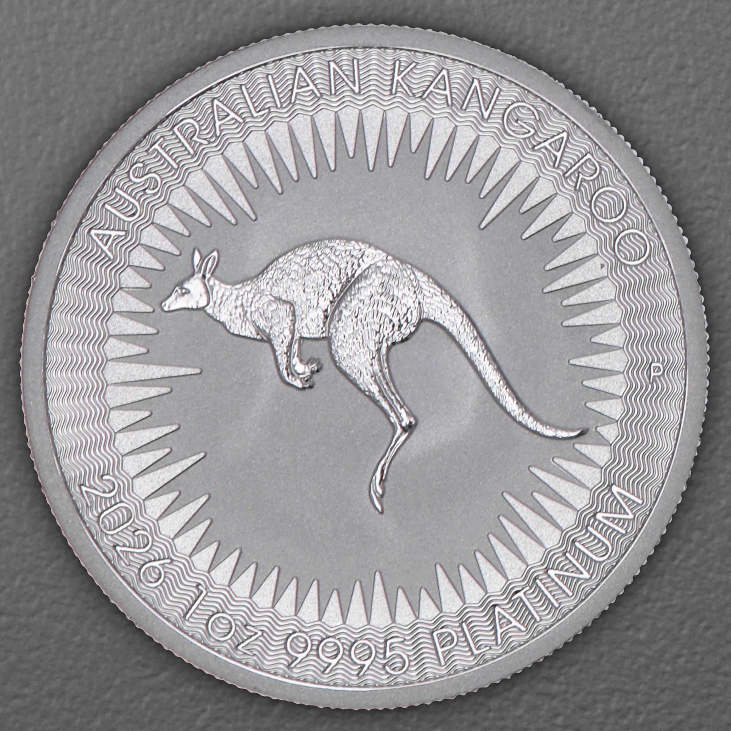 Platinmünze 1oz "Känguru" 19% (Australien) - Hauptansicht