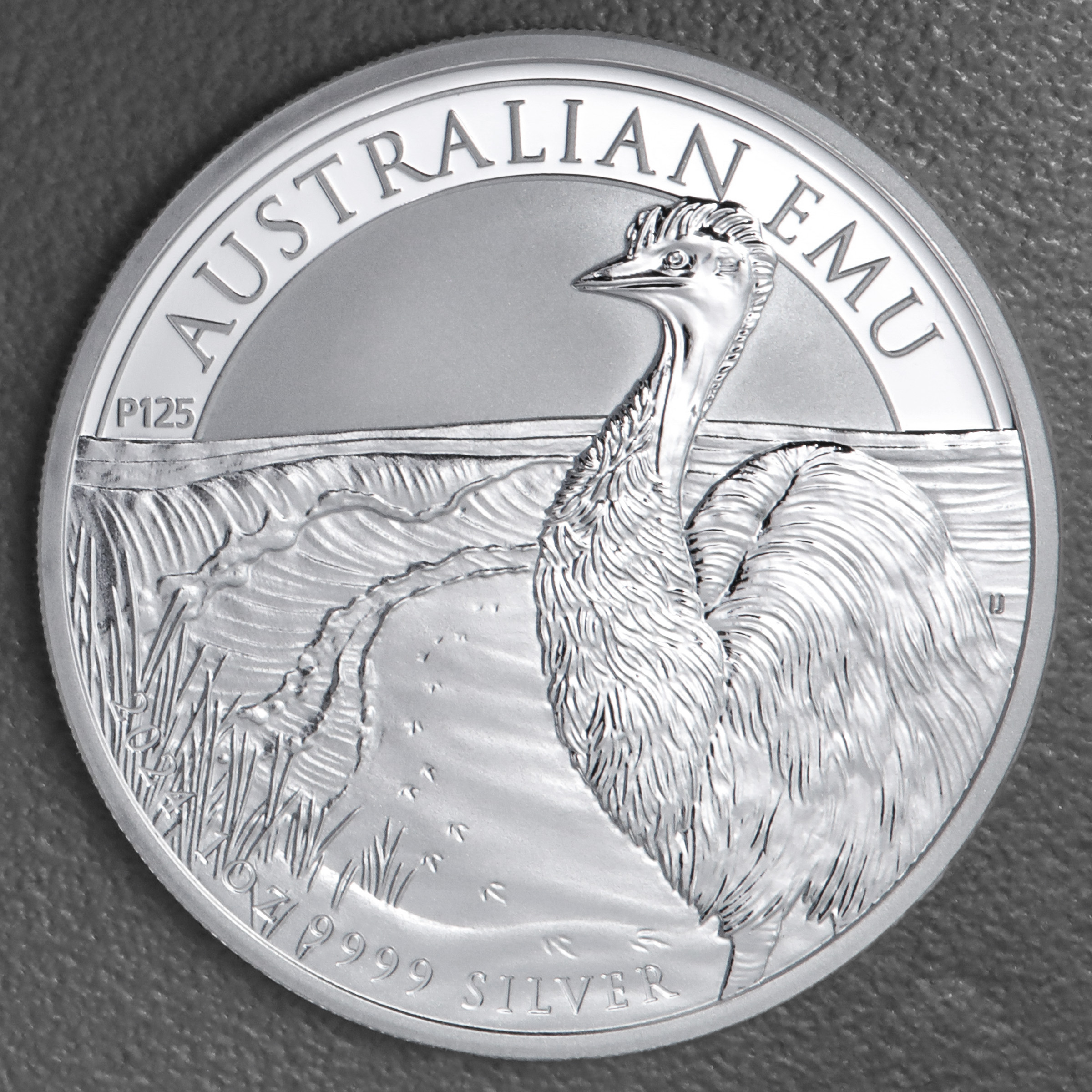 Silbermünze 1oz "Emu" 2024 (Australien) - Hauptansicht