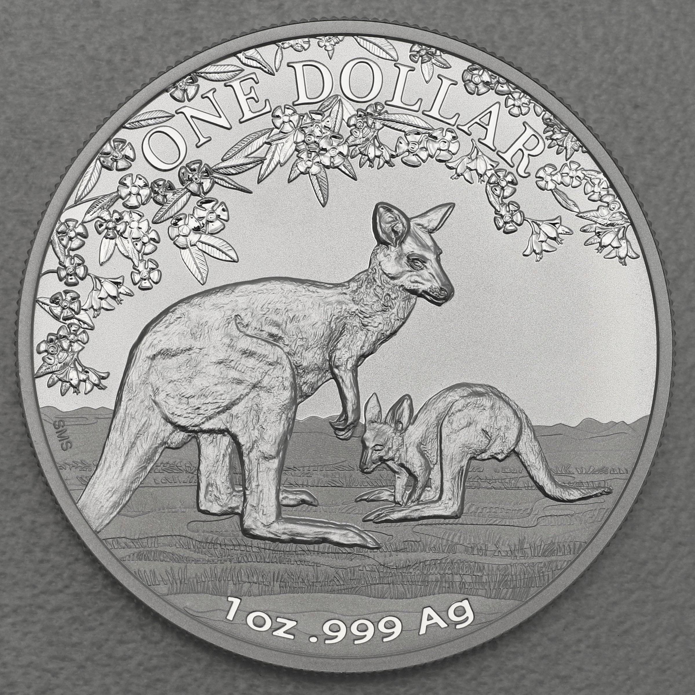 Silbermünze 1oz "Känguru" 2017 Seasons Change (Australien) - Hauptansicht