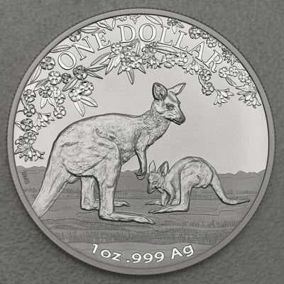 Silbermünze 1oz "Känguru" 2017 Seasons Change (Australien) - Miniaturansicht 1