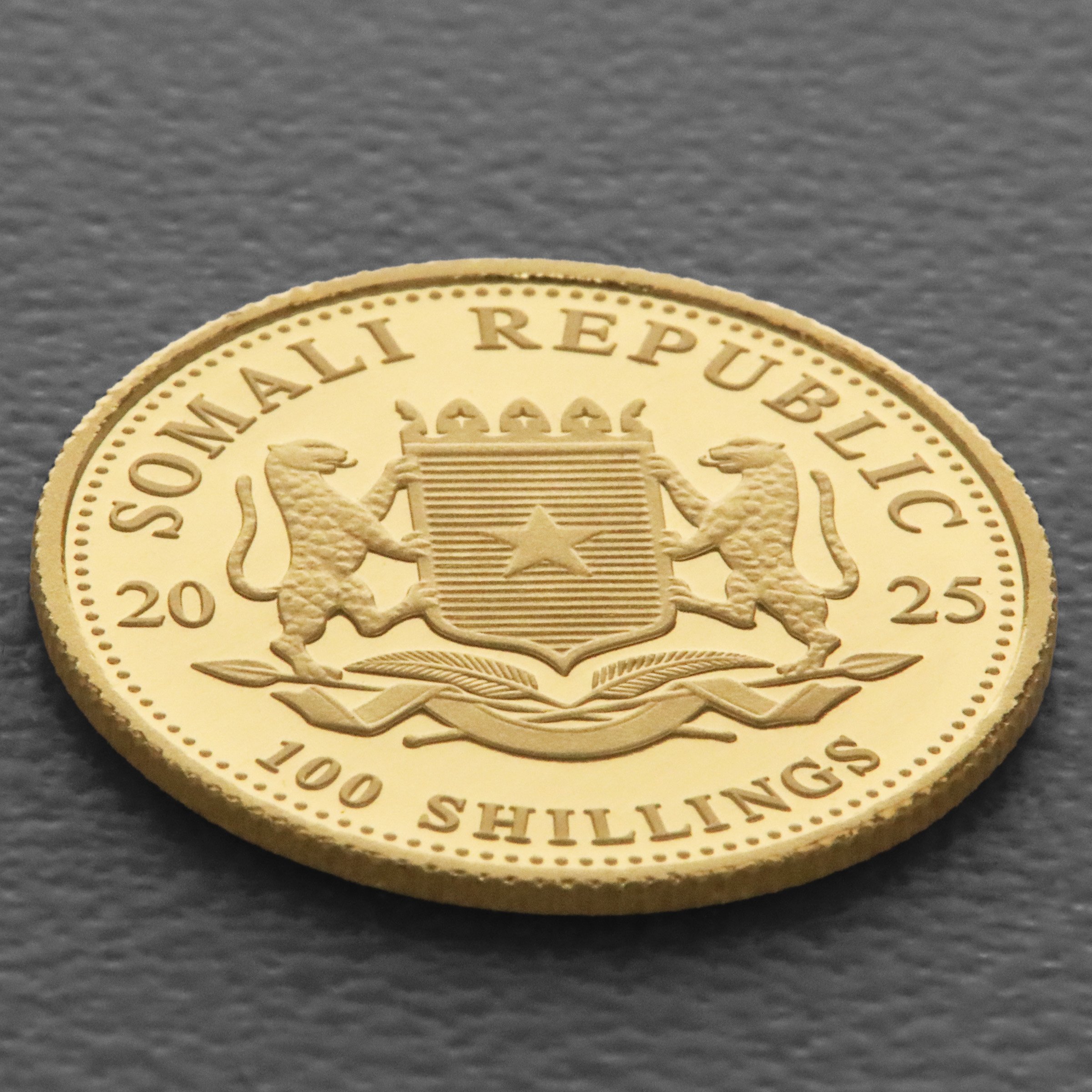 Goldmünze 1/10oz "Elefant" 2025 African Wildlife (Somalia) - Detailansicht 3