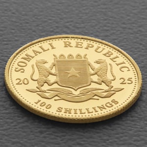 Goldmünze 1/10oz "Elefant" 2025 African Wildlife (Somalia) - Miniaturansicht 4