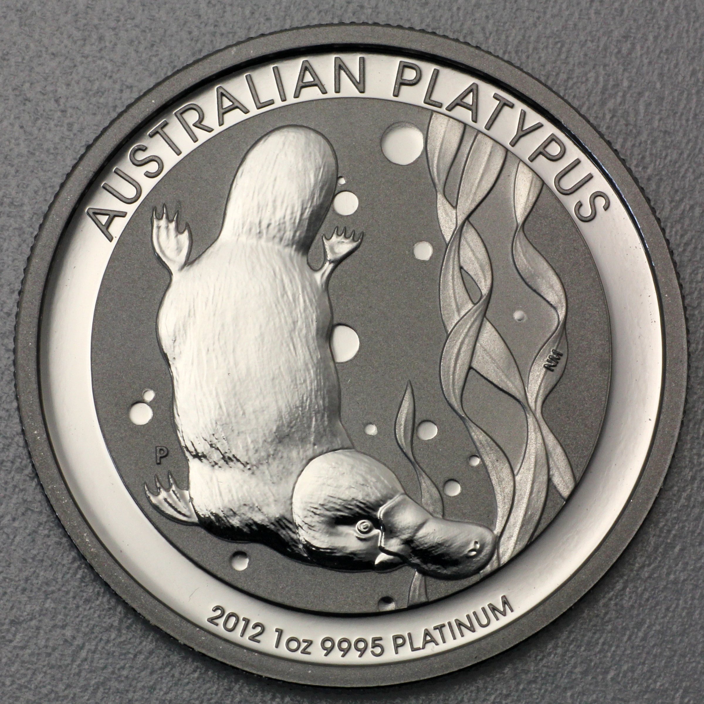 Platinmünze 1oz "Platypus" (diff.) (Australien) - Hauptansicht