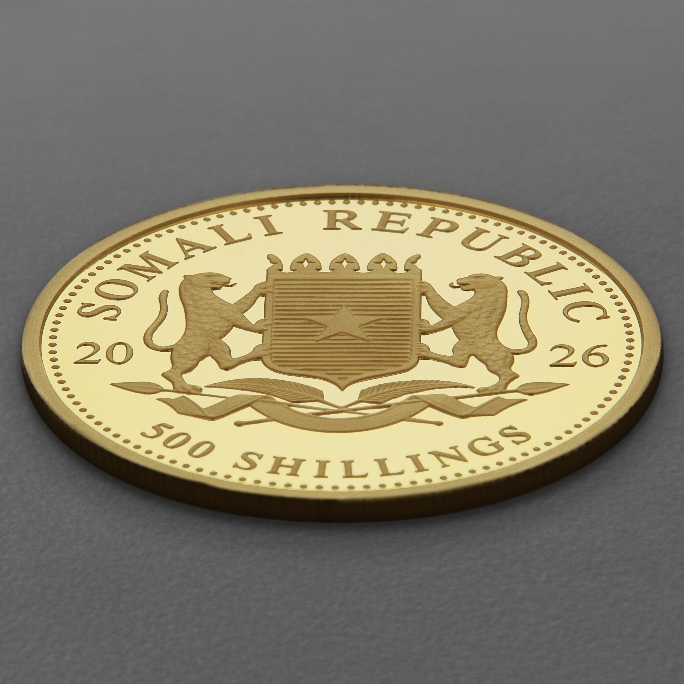 Goldmünze 1/2oz "Elefant" 2026 African Wildlife (Somalia) - Detailansicht 3