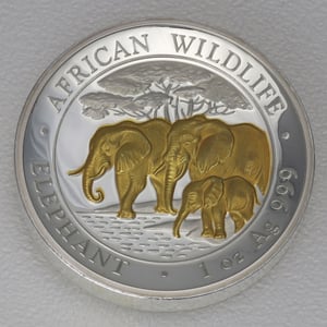 Silbermünze 1oz "Somalia Elefant 2013" HR gilded (Somalia) - Miniaturansicht 1