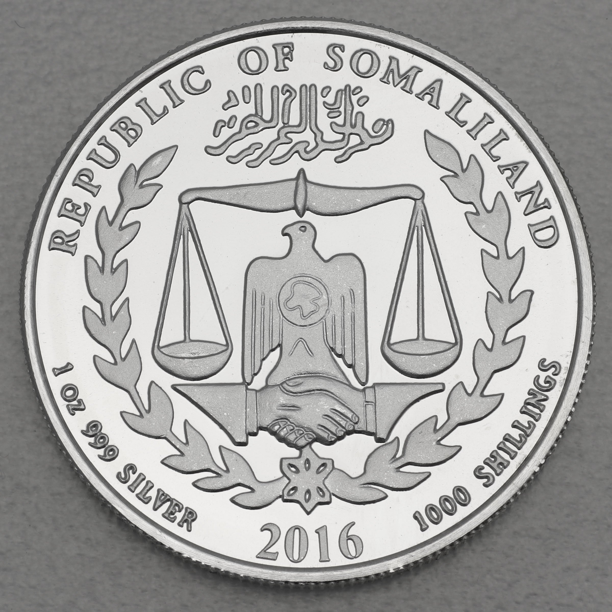 Silbermünze 1oz "Affe" 2016 (vergoldet) Somaliland Lunar – Year of the Monkey (Somalia) - Detailansicht 1