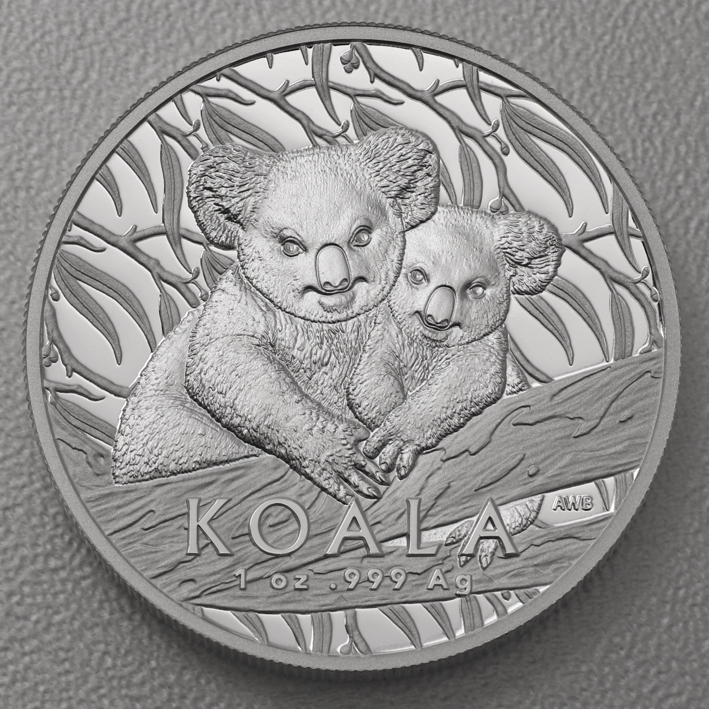 Silbermünze 1oz "Koala" 2025 (PP/HR) Royal Australian Mint (Australien) - Hauptansicht