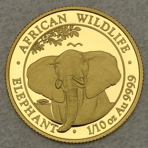 Goldmünze 1/10oz "Elefant" 2021 African Wildlife (Somalia) - Hauptansicht