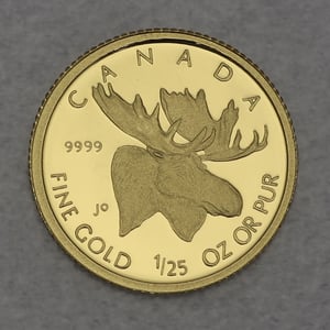 Goldmünze 1/25oz "Elch" 2004 (Kanada) - Hauptansicht
