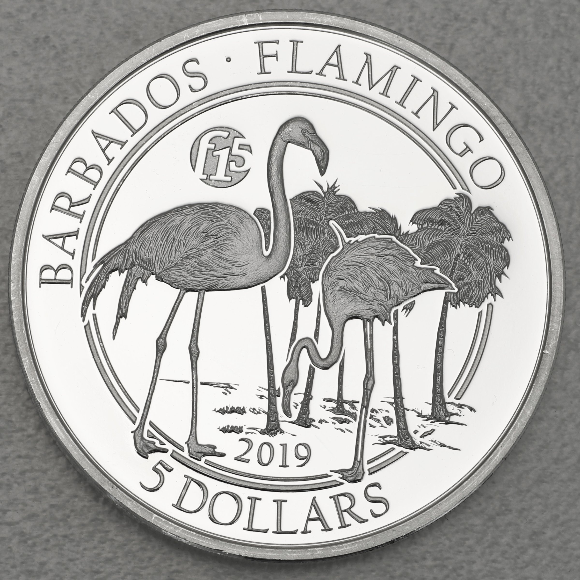 Silbermünze 1oz "Flamingo" 2019 (Barbados) - Hauptansicht