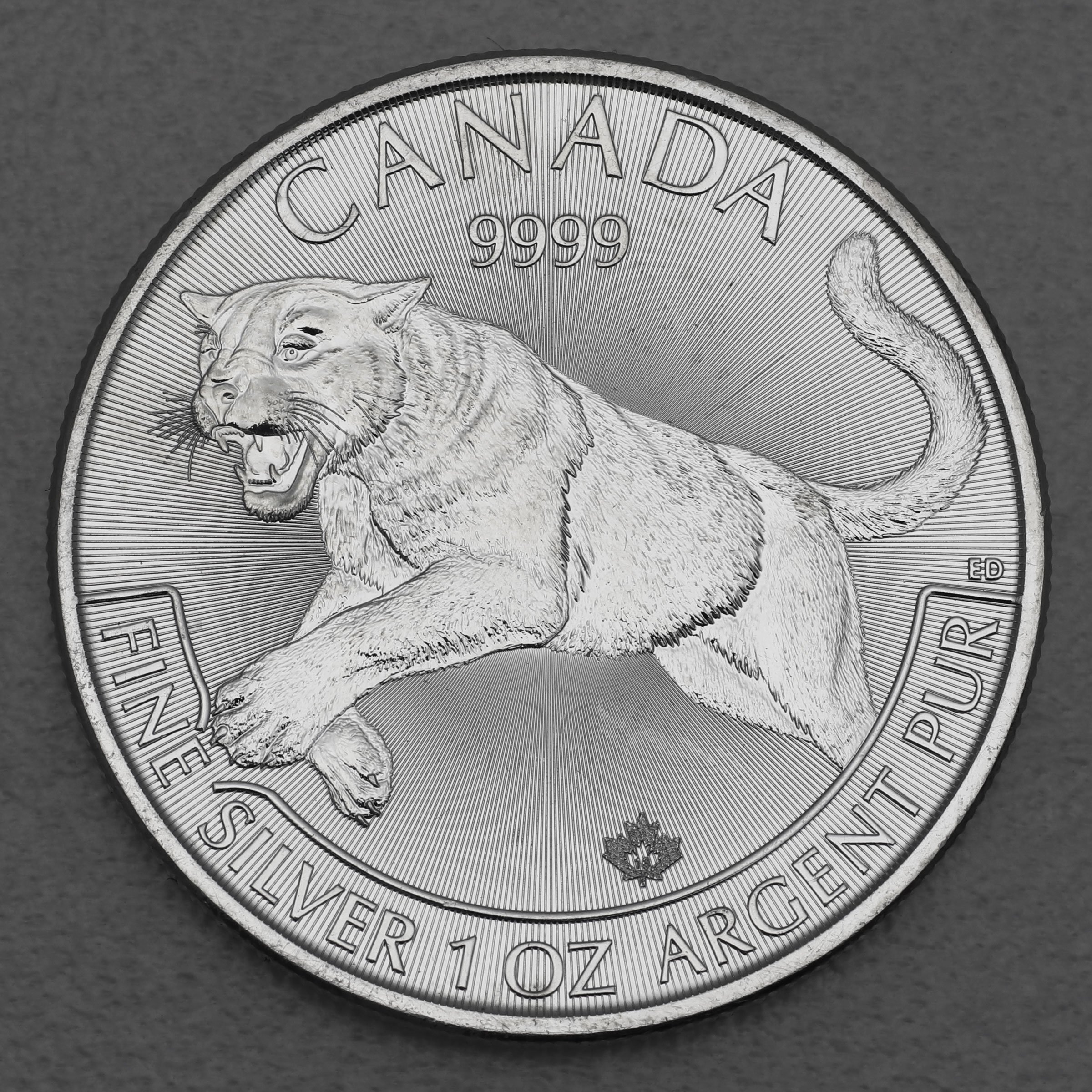 Silbermünze 1oz "Puma" 2016 Predator (Kanada) - Hauptansicht