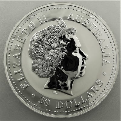 Silbermünze 1kg "Kookaburra" 2008 (Australien) - Miniaturansicht 2