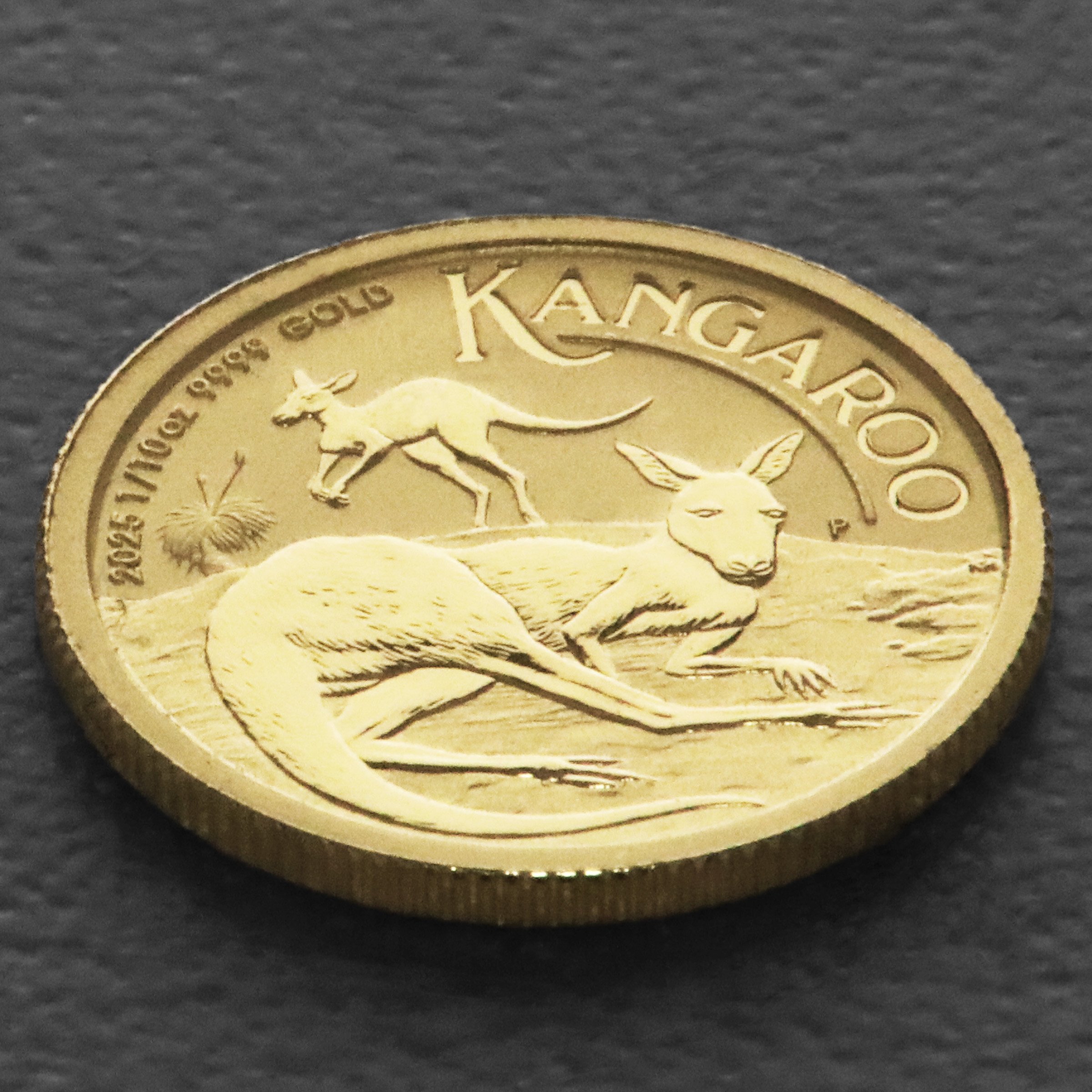 Goldmünze 1/10oz "Känguru" 2025 (Australien) - Detailansicht 2