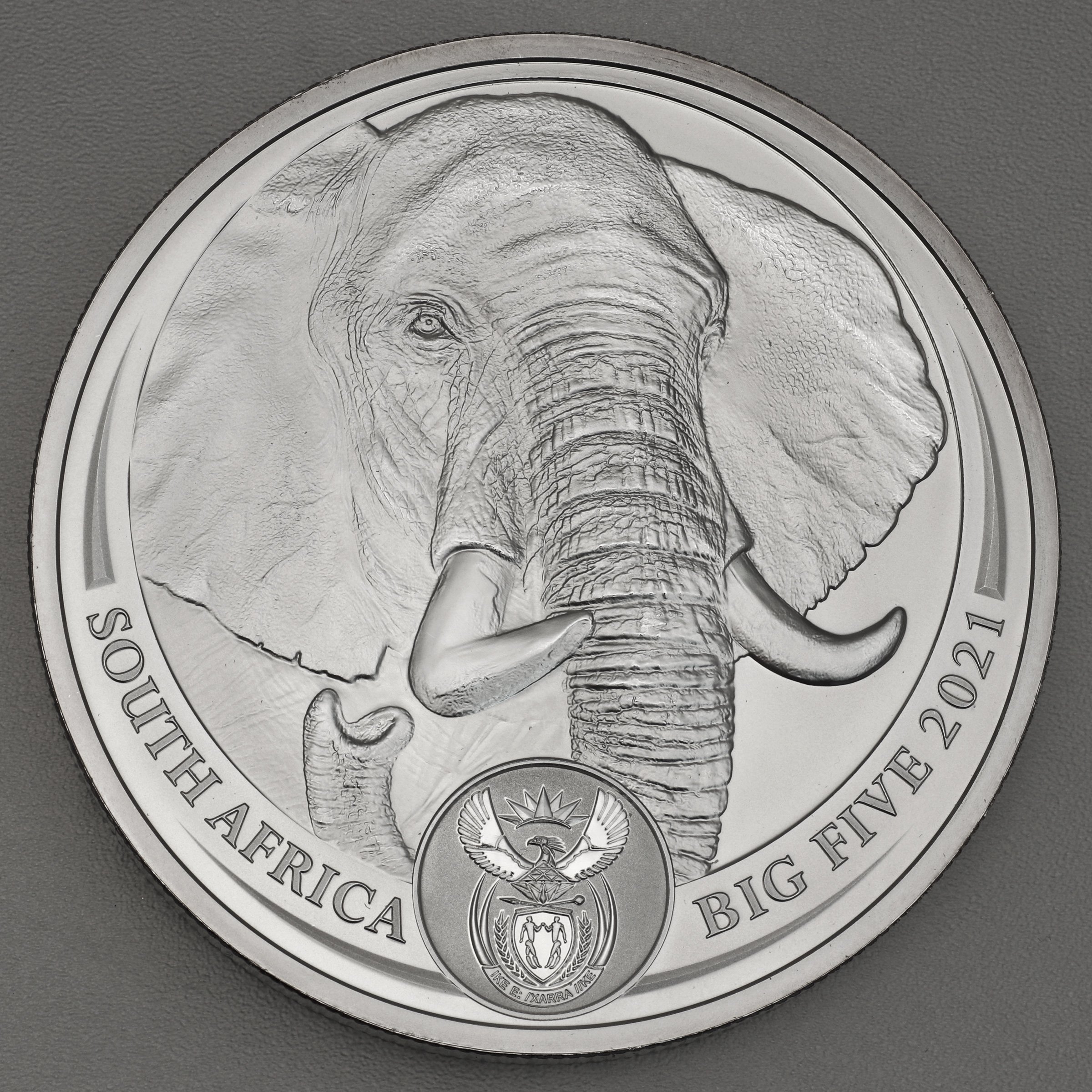 Silbermünze 1kg "Elefant" 2021 Big Five II (Südafrika) - Hauptansicht