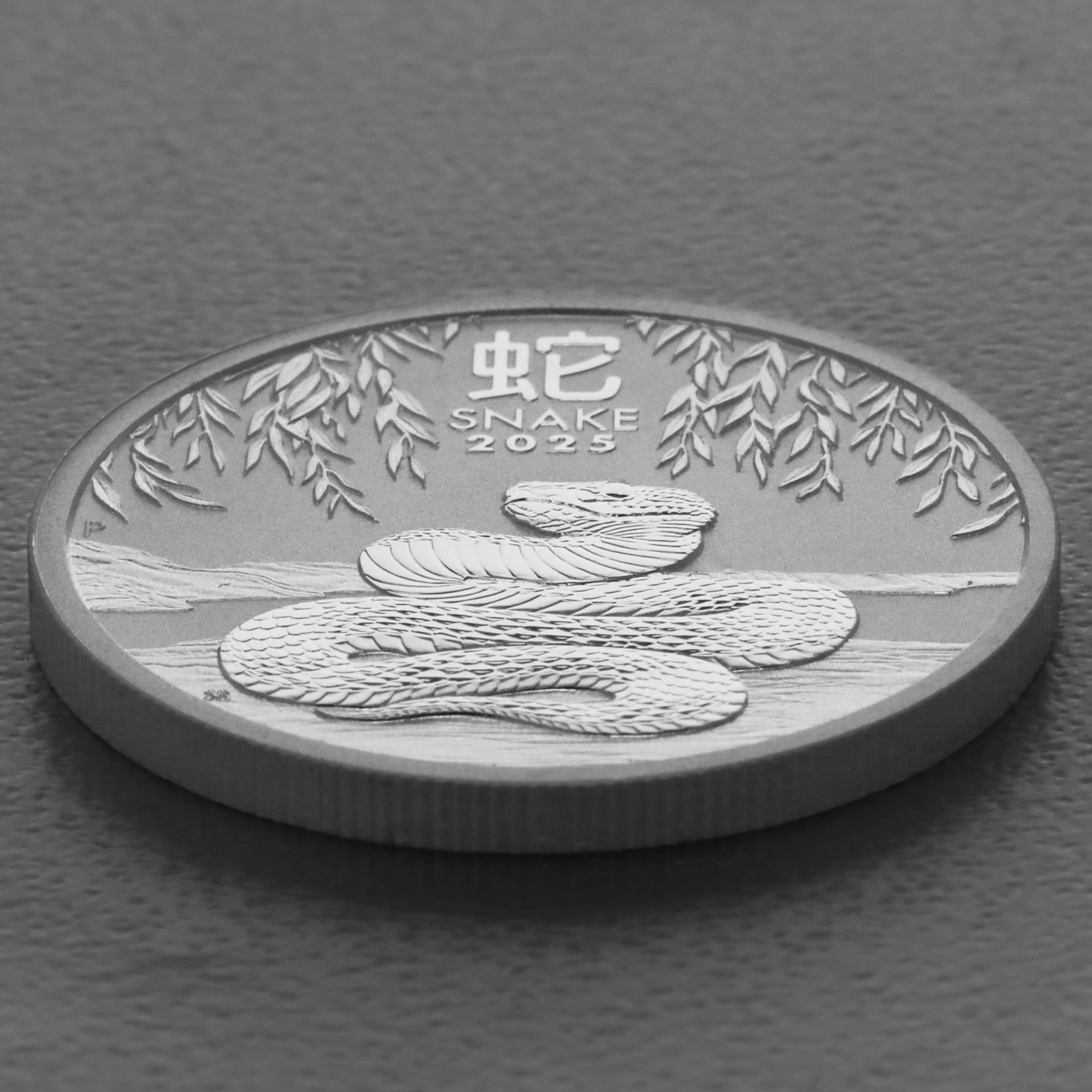 Silbermünze 1/2oz "Schlange" 2025 Lunar III – Year of the Snake 19% (Australien) - Detailansicht 2