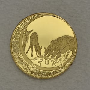 Goldmünzen "The Kudu" 1999 Natura Set 4-teilig Monarchs of Africa (Südafrika) - Miniaturansicht 5