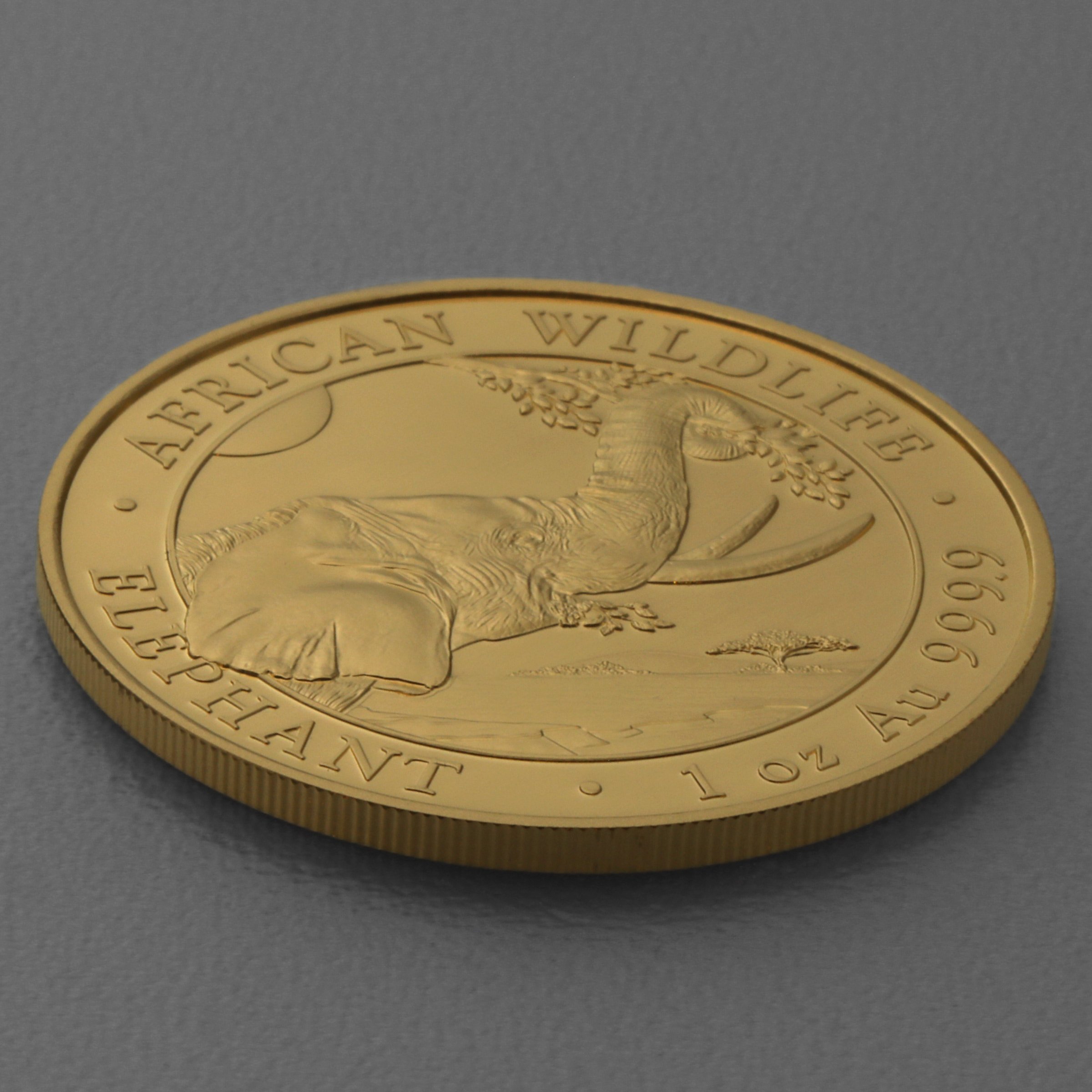 Goldmünze 1oz "Elefant" 2023 African Wildlife (Somalia) - Detailansicht 3