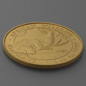 Goldmünze 1oz "Elefant" 2023 African Wildlife (Somalia) - Miniaturansicht 4