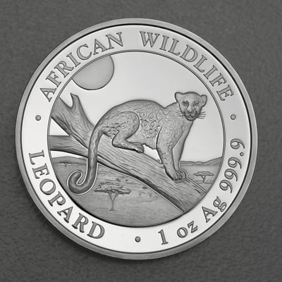 Silbermünze 1oz "Leopard" 2021 African Wildlife (Somalia) - Miniaturansicht 1