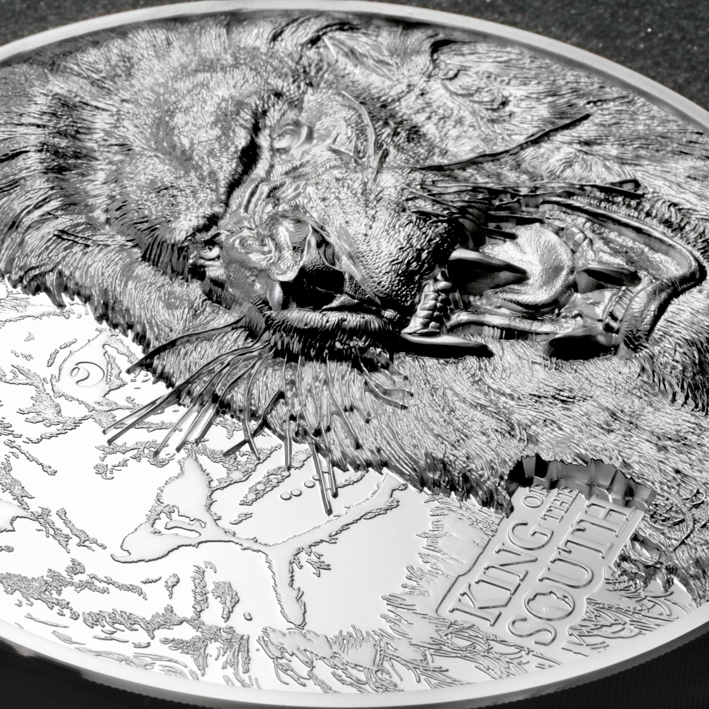 Silbermünze 1kg "King of the South - Lion" 2023 (PP/HR) Cook Islands - Detailansicht 4