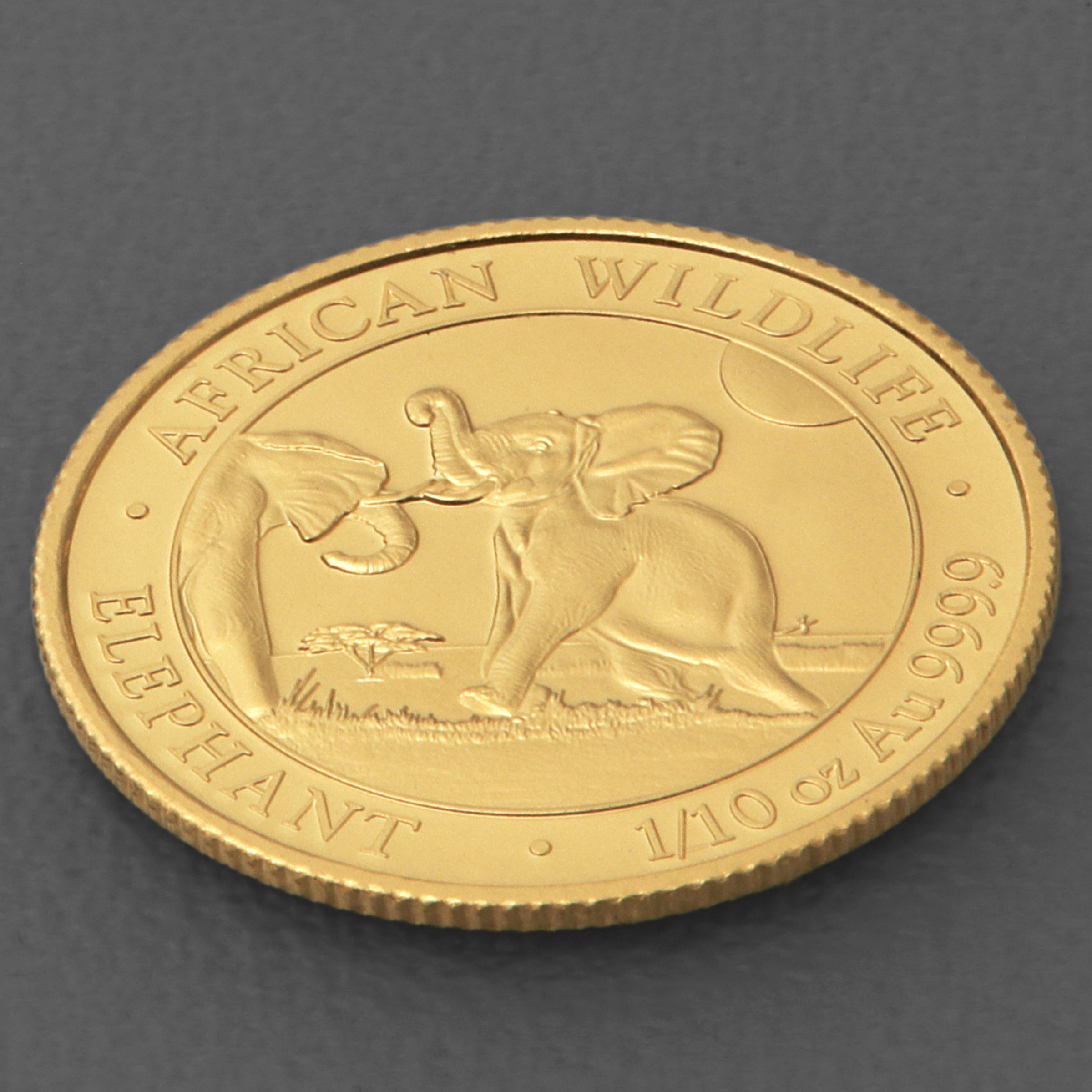 Goldmünze 1/10oz "Elefant" 2024 African Wildlife (Somalia) - Detailansicht 2