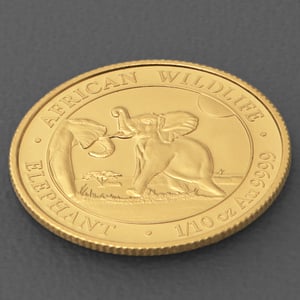 Goldmünze 1/10oz "Elefant" 2024 African Wildlife (Somalia) - Miniaturansicht 3