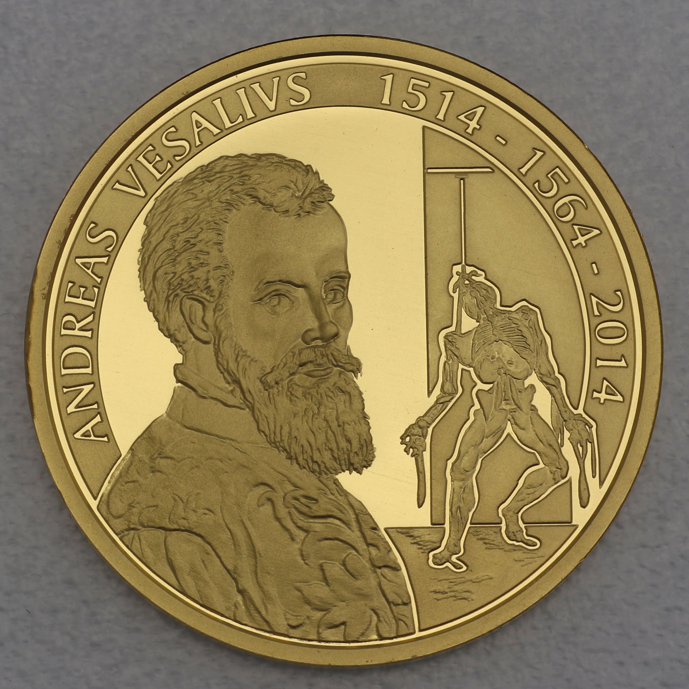 Goldmünze 100 Euro "Andreas Vesalivs" 2014 (Belgien) - Hauptansicht