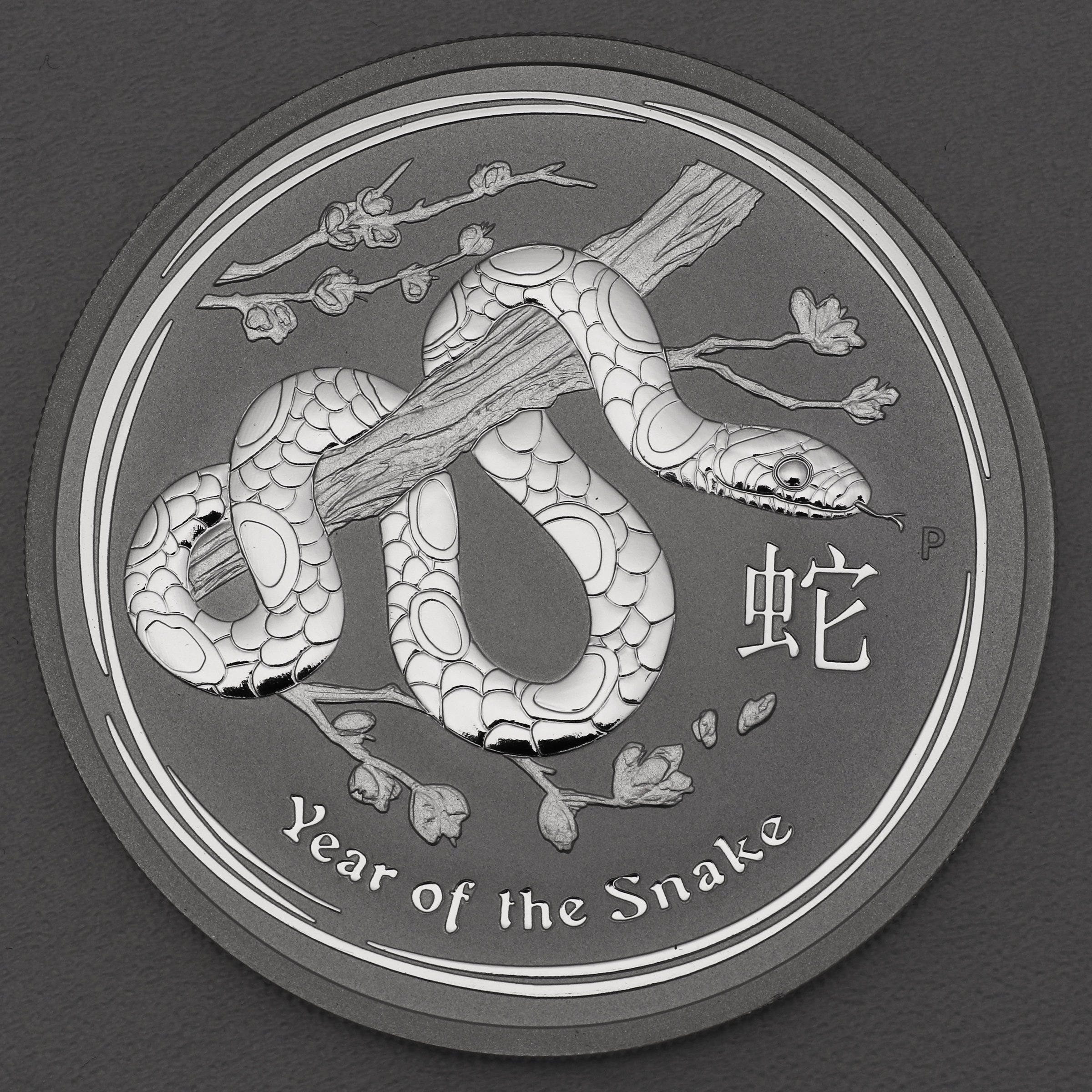 Silbermünze 5oz "Schlange" 2013 Lunar II – Year of the Snake 19% (Australien) - Hauptansicht