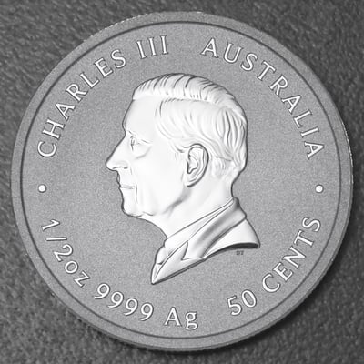 Silbermünze 1/2oz "Schlange" 2025 Lunar III – Year of the Snake 19% (Australien) - Miniaturansicht 2