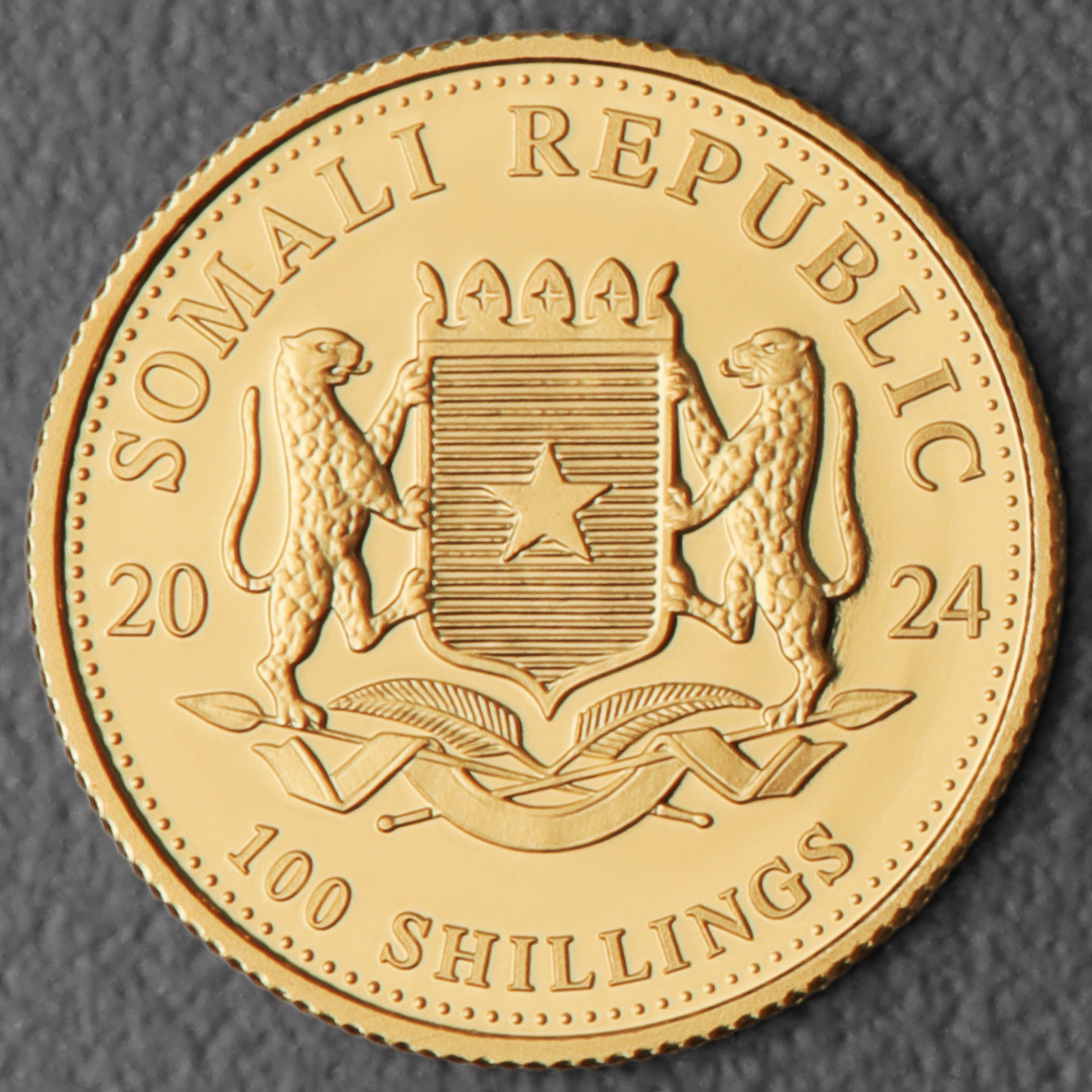 Goldmünze 1/10oz "Elefant" 2024 African Wildlife (Somalia) - Detailansicht 1