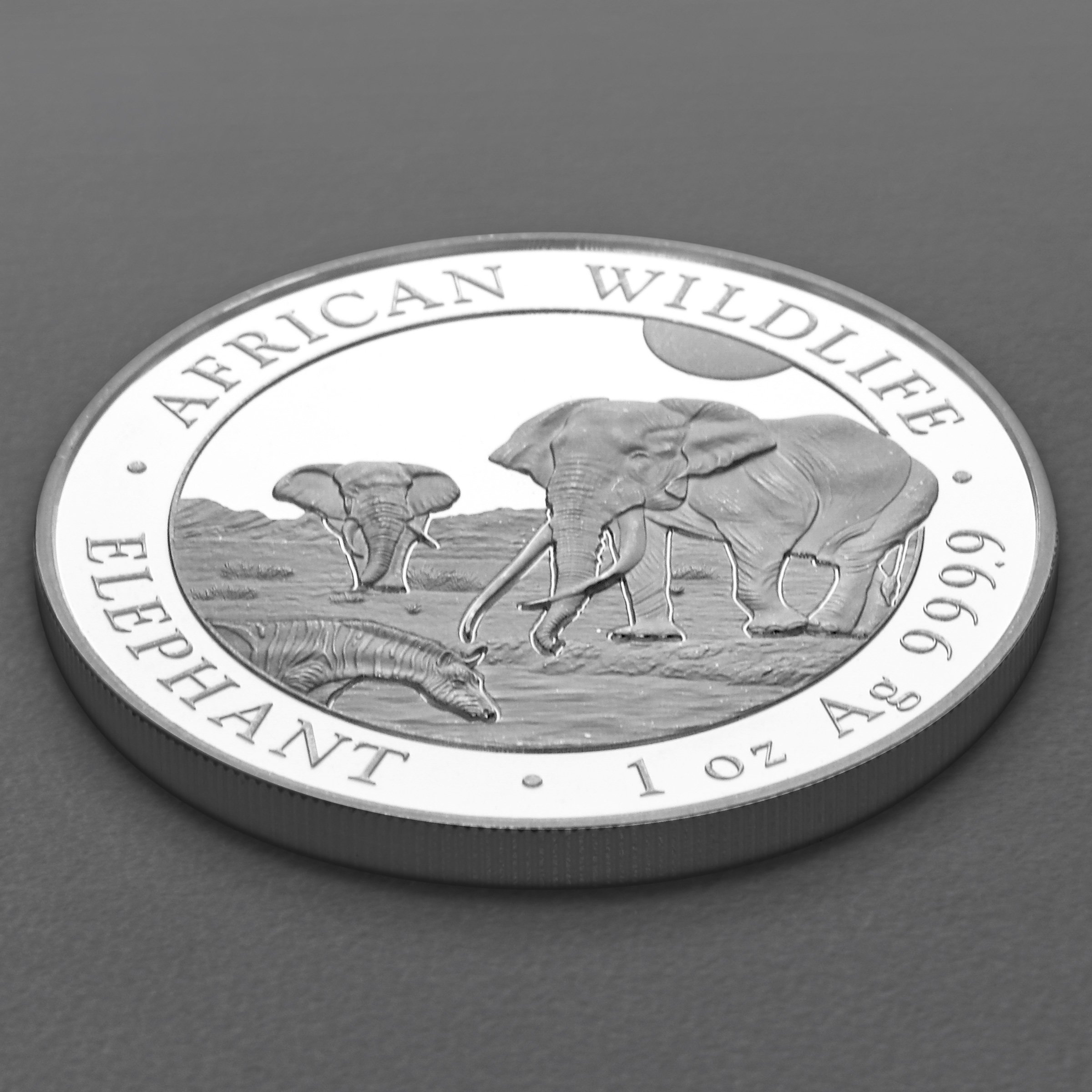 Silbermünze 1oz "Elefant" 2026 African Wildlife 19% (Somalia) - Detailansicht 2