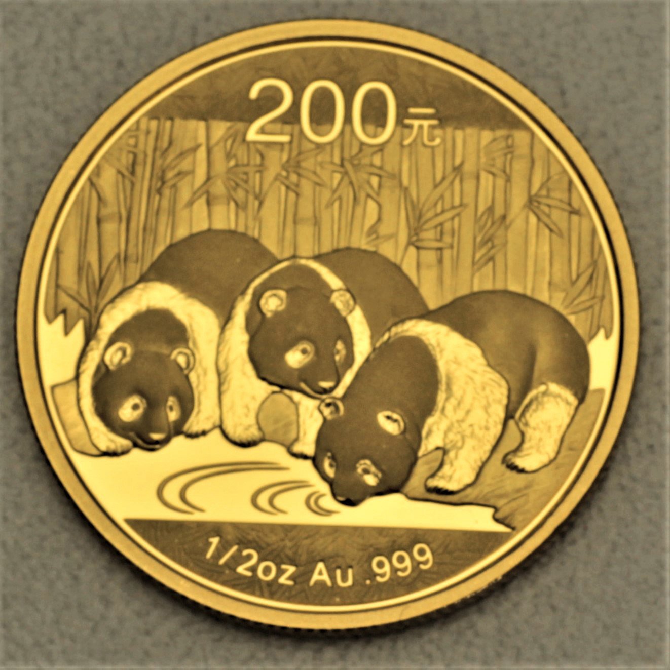 Goldmünze 1/2oz "Panda" 2013 (China) - Hauptansicht