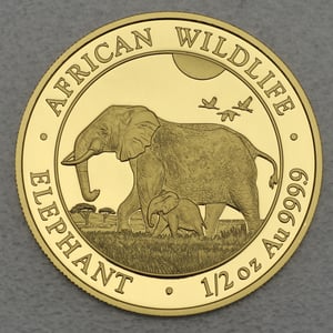 Goldmünze 1/2oz "Elefant" 2022 African Wildlife (Somalia) - Hauptansicht