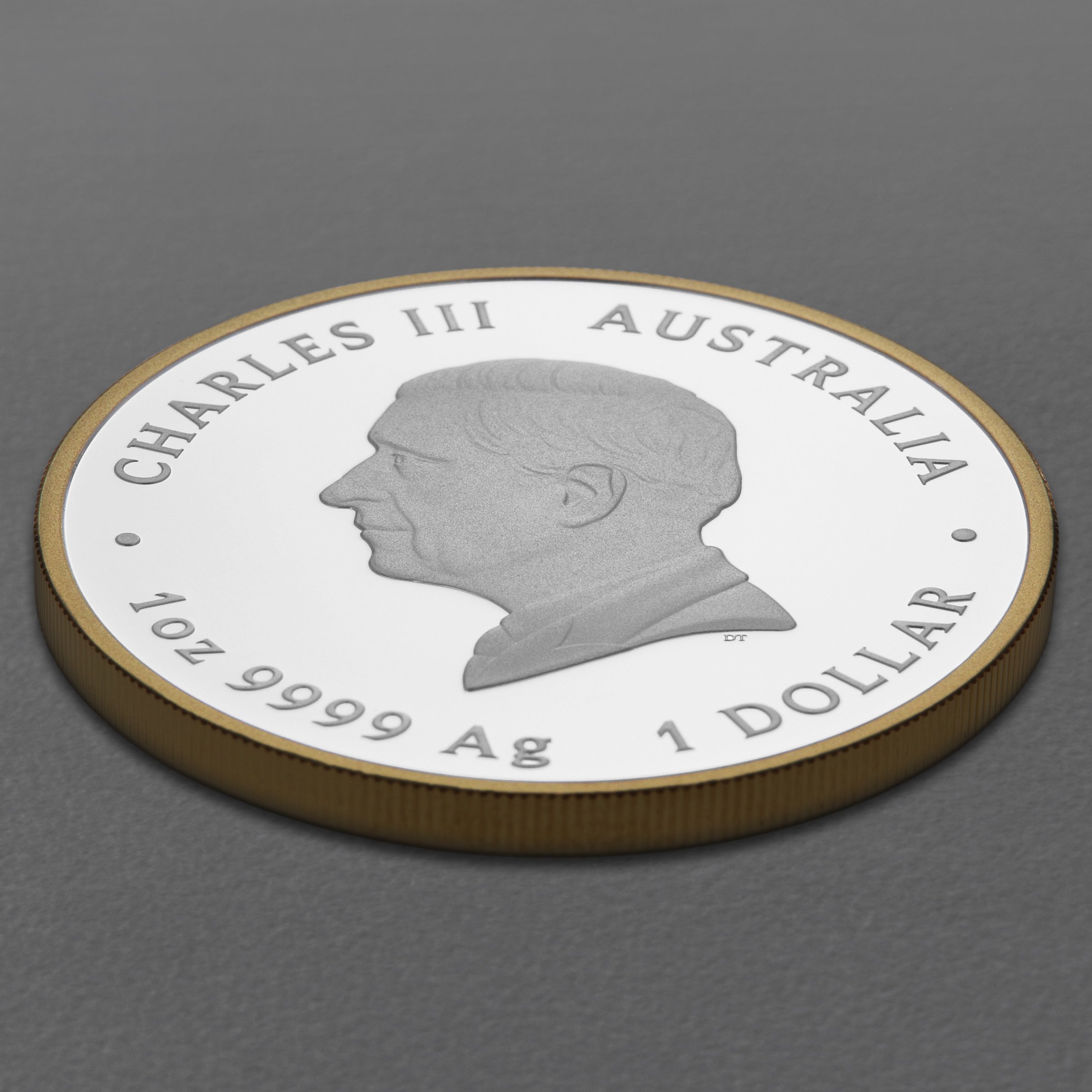 Silbermünze 1oz "H.M. Queen Elizabeth II 100th Anniversary" 2026 (PP/vergoldet) (Australien) - Detailansicht 3