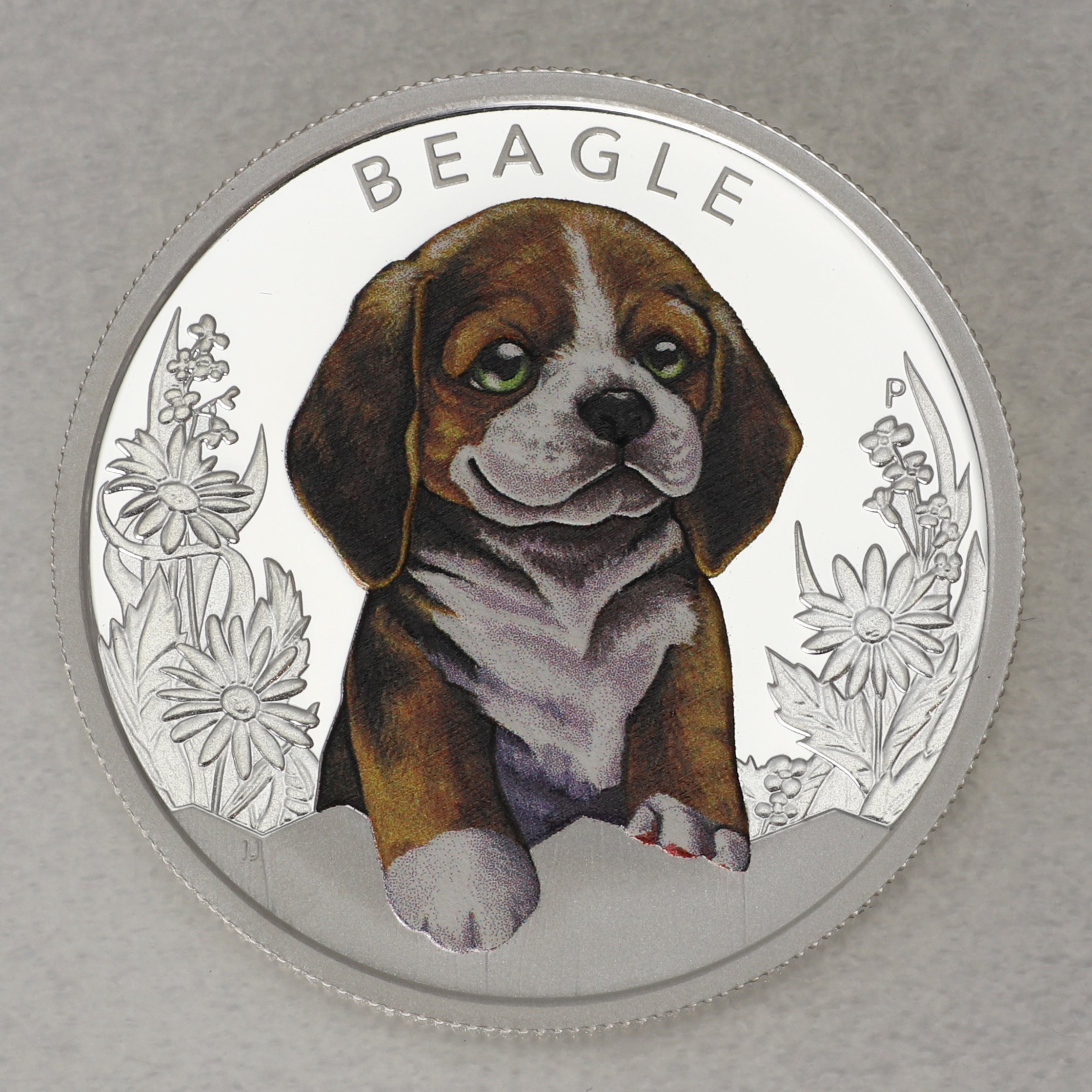 Silbermünze 1/2oz "Beagle 2018" (PP/koloriert) Puppies (Tuvalu) - Hauptansicht
