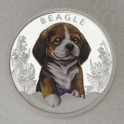 Silbermünze 1/2oz "Beagle 2018" (PP/koloriert) Puppies (Tuvalu) - Miniaturansicht 1