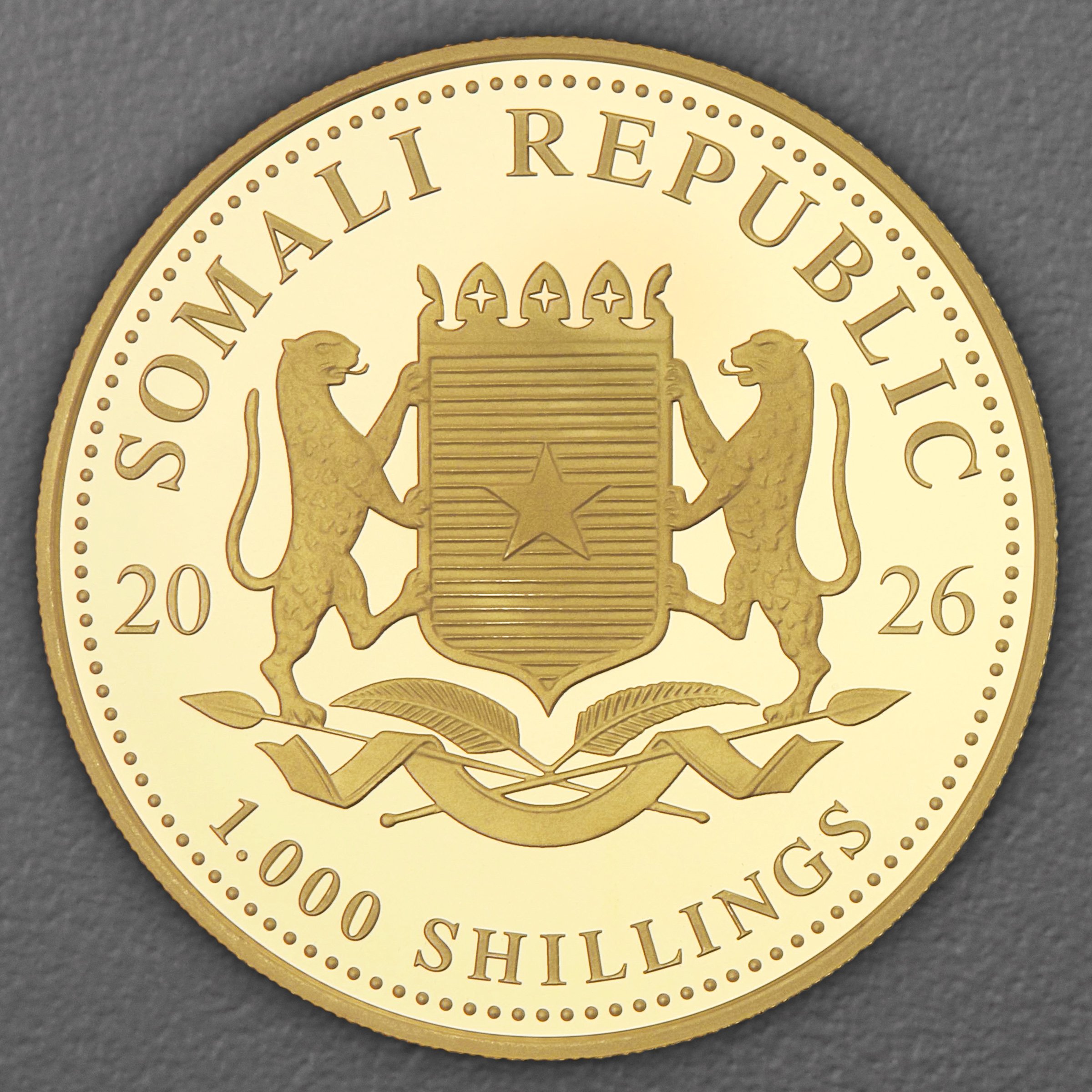 Goldmünze 1oz "Elefant" 2026 African Wildlife (Somalia) - Detailansicht 1