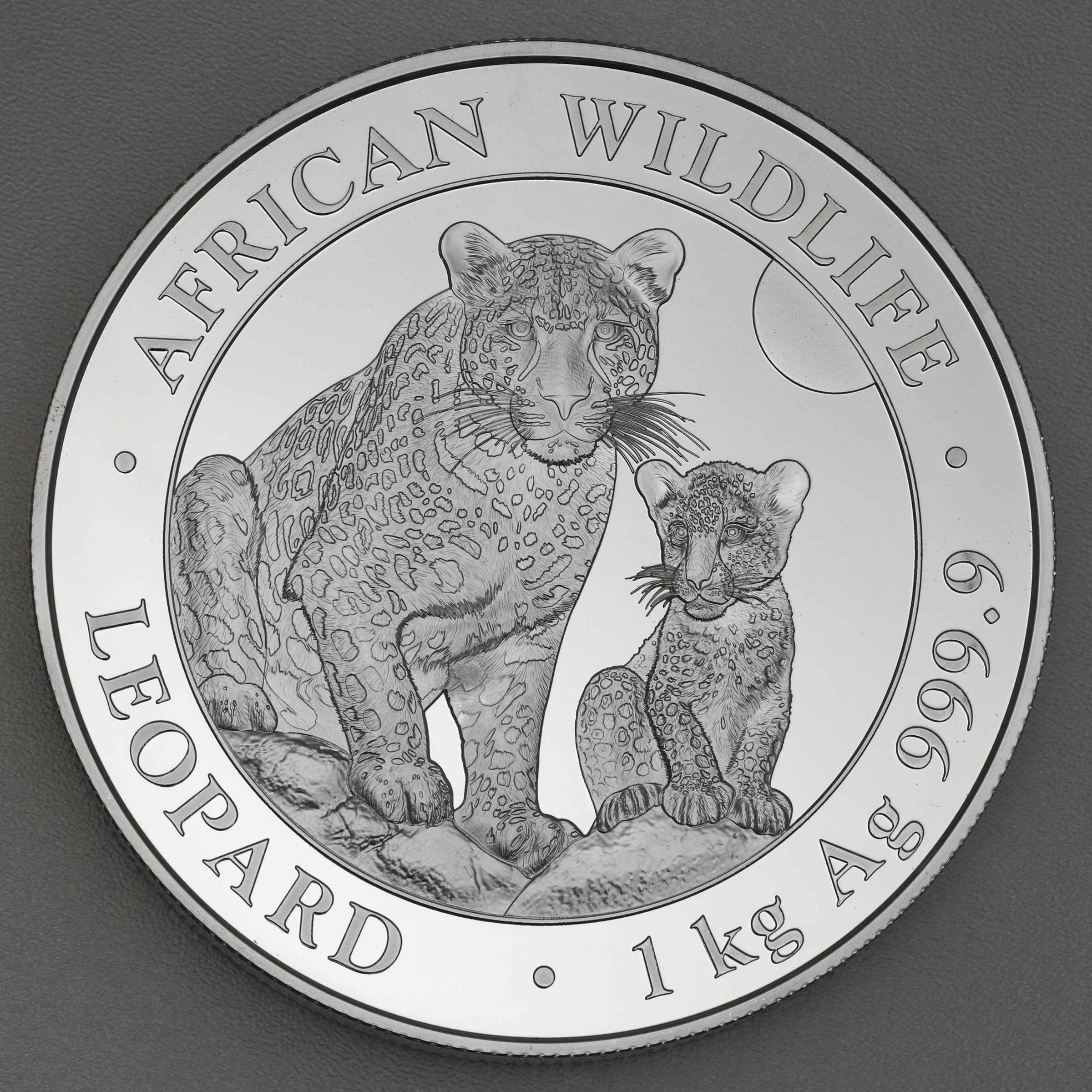 Silbermünze 1kg "Leopard" 2024 African Wildlife (Somalia) - Hauptansicht