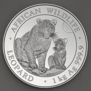 Silbermünze 1kg "Leopard" 2024 African Wildlife (Somalia) - Hauptansicht