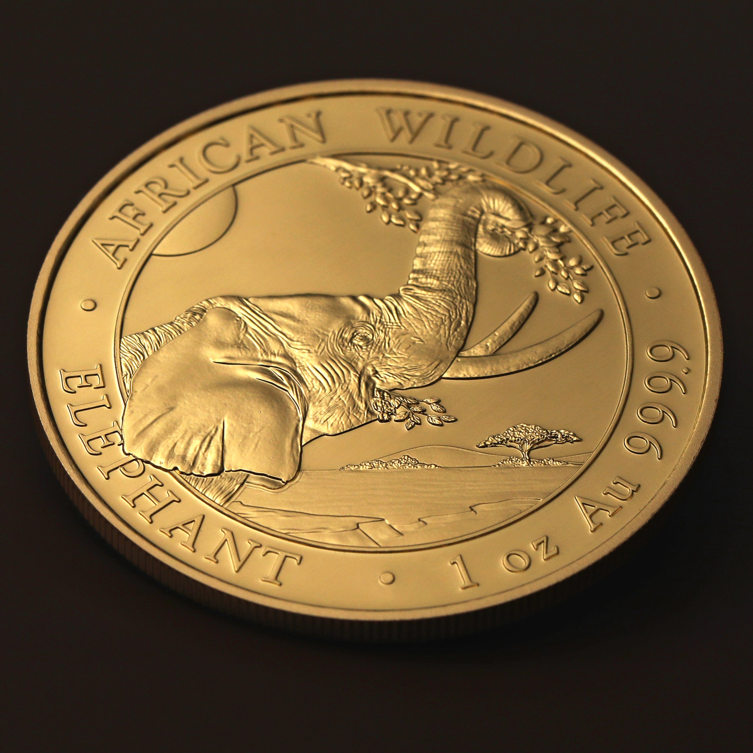 Goldmünze 1oz "Elefant" 2023 African Wildlife (Somalia) - Detailansicht 4