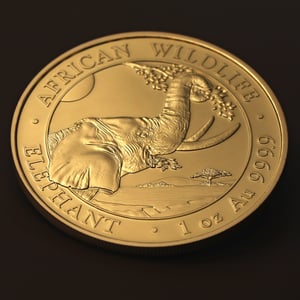 Goldmünze 1oz "Elefant" 2023 African Wildlife (Somalia) - Miniaturansicht 5