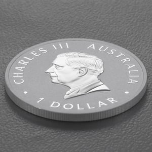 Silbermünze 1oz "Kookaburra" 2024 19% (Australien) - Miniaturansicht 4