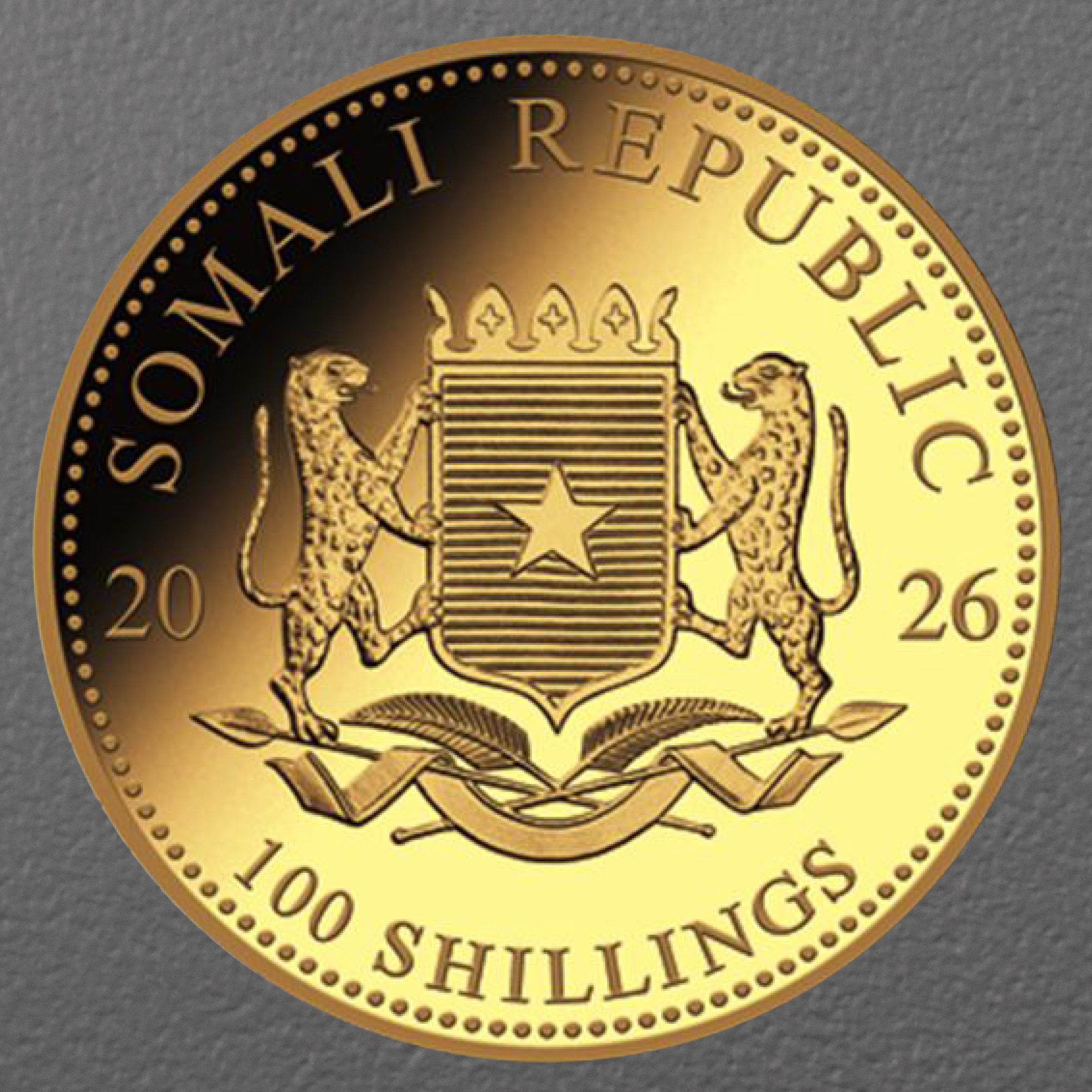 Goldmünze 1/10oz "Leopard" 2026 African Wildlife (Somalia) - Detailansicht 1