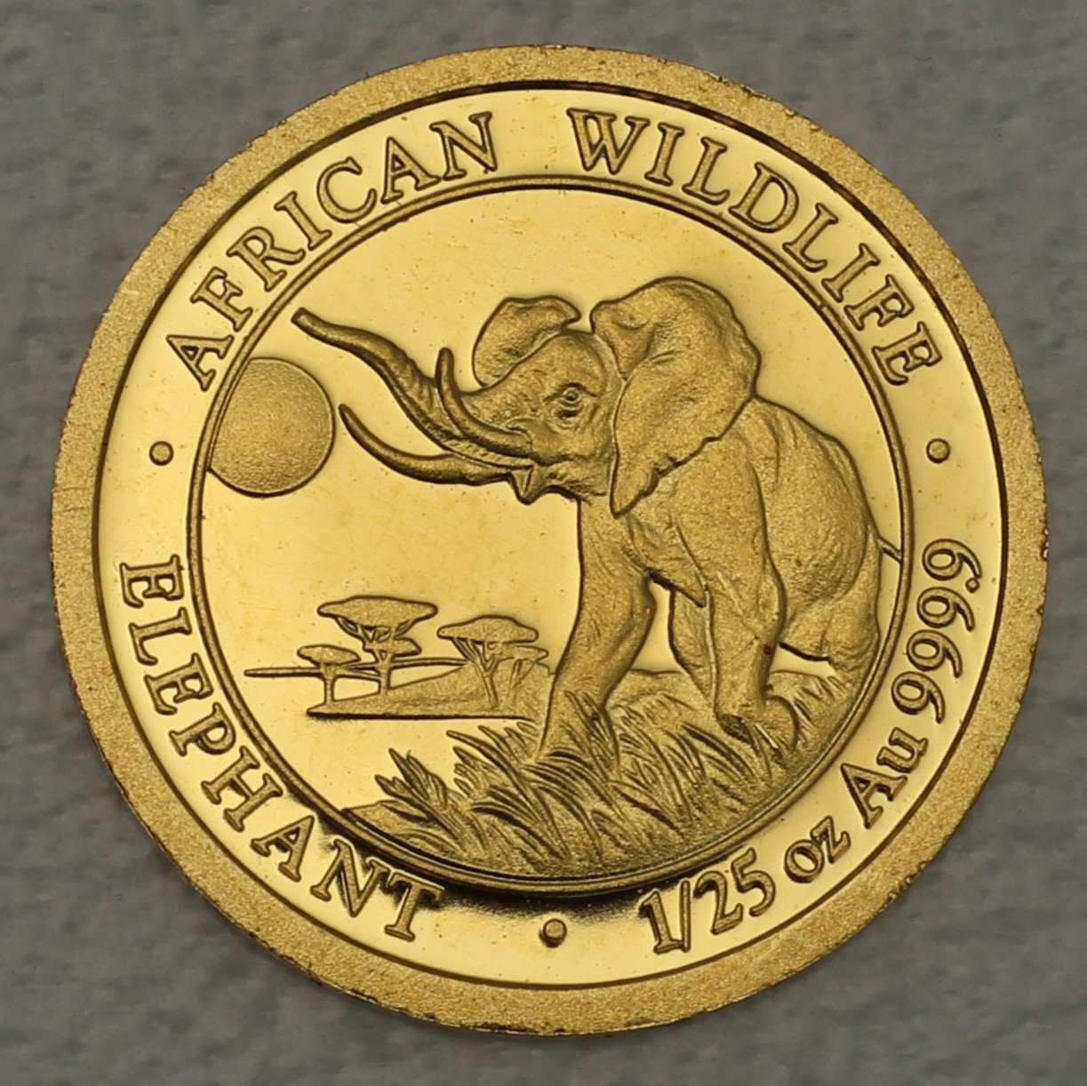 Goldmünze 1/25oz "Elefant" 2016 African Wildlife (Somalia) - Hauptansicht