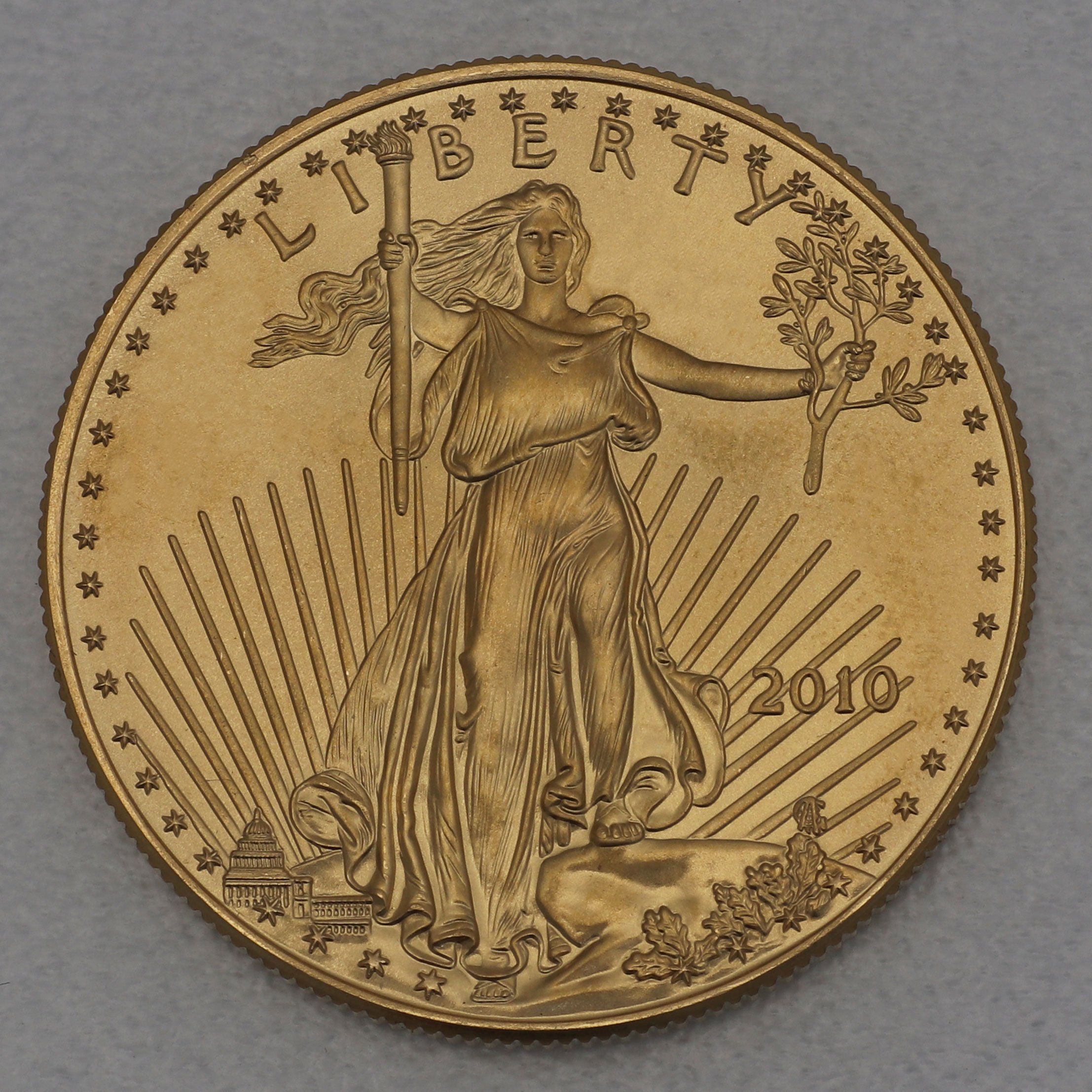 Goldmünze 1oz "American Eagle" 2010 (USA) - Hauptansicht