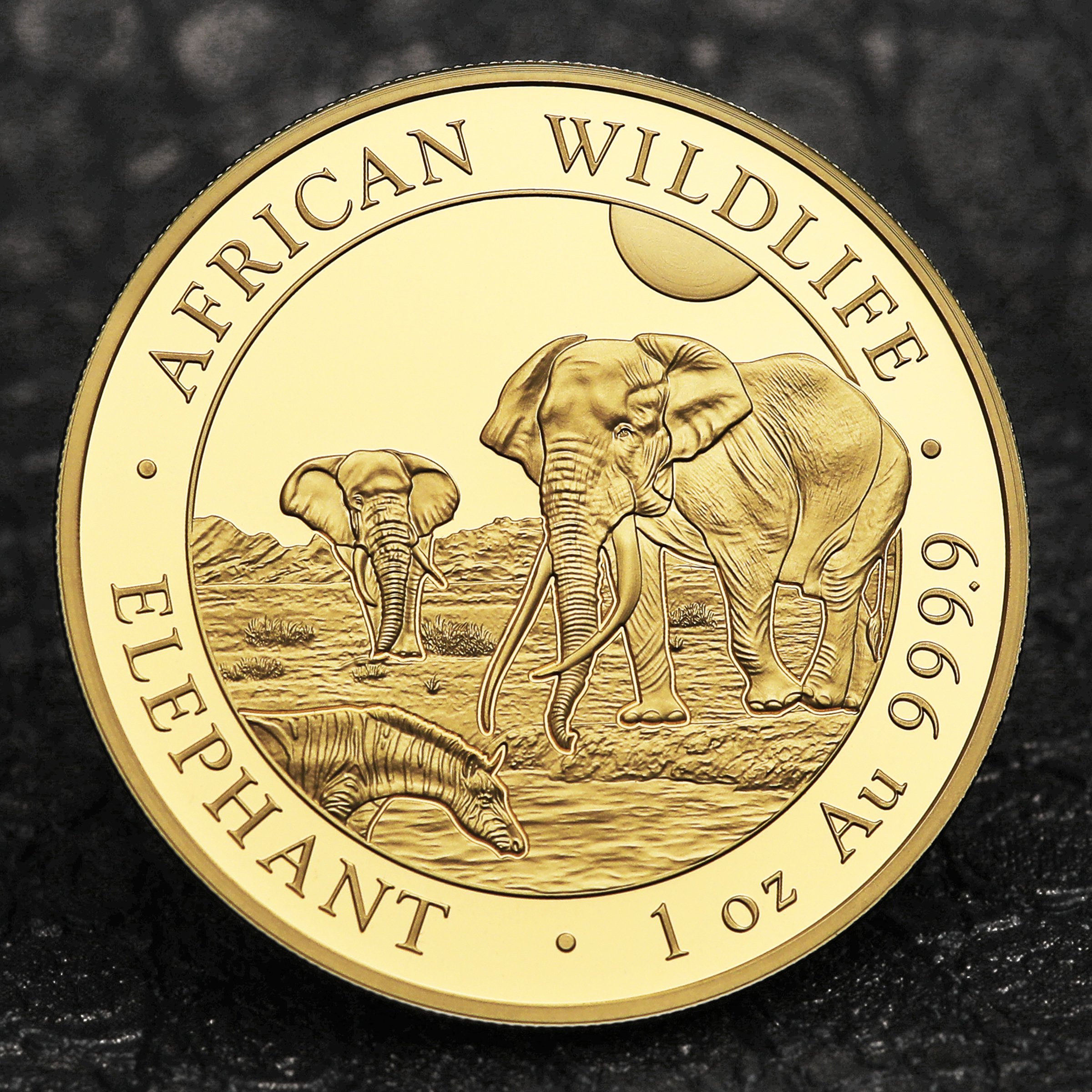 Goldmünze 1oz "Elefant" 2026 African Wildlife (Somalia) - Detailansicht 4