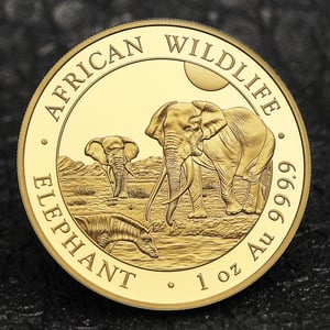 Goldmünze 1oz "Elefant" 2026 African Wildlife (Somalia) - Miniaturansicht 5