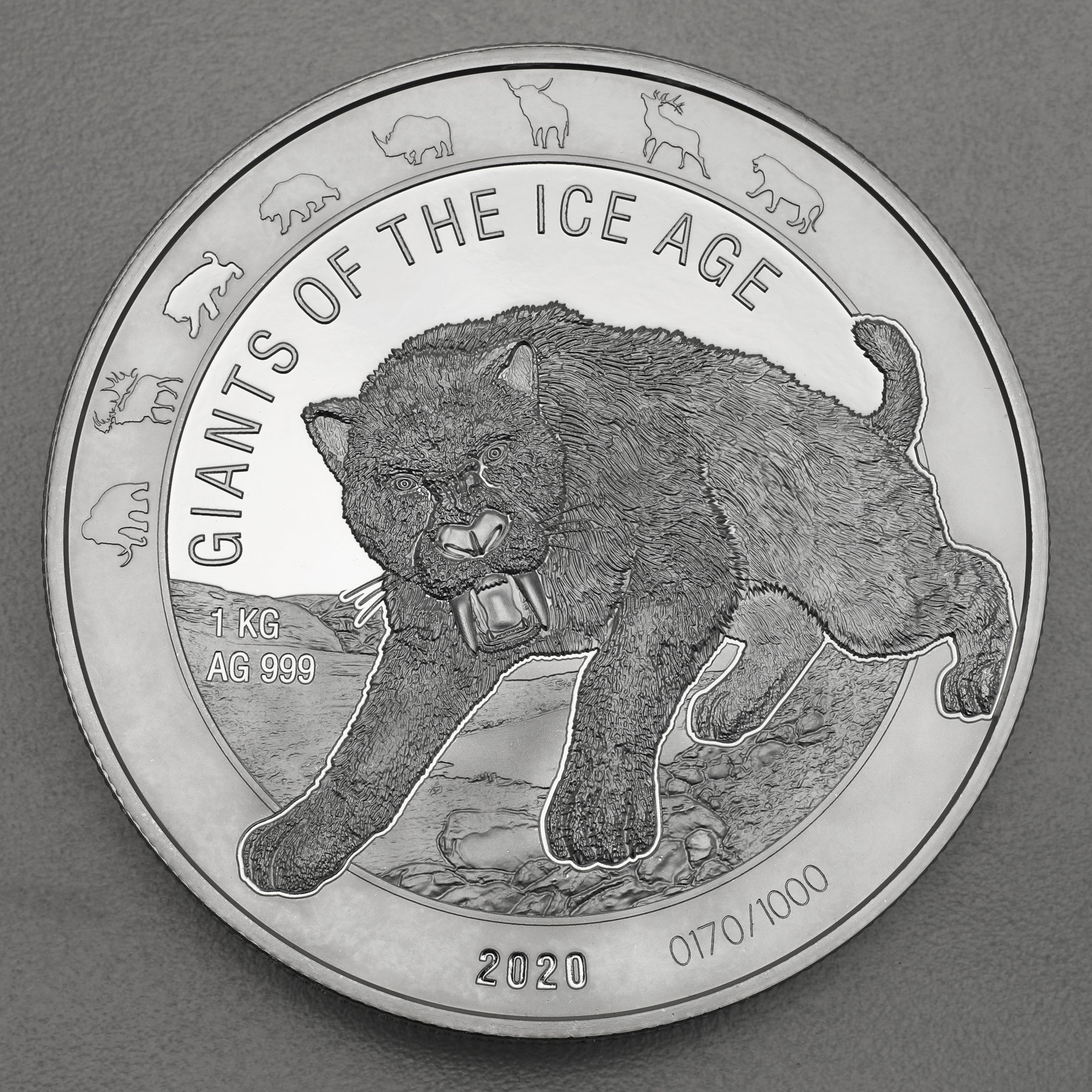 Silbermünze 1kg "Säbelzahnkatze" 2020 Giants of Ice Age (Ghana) - Hauptansicht